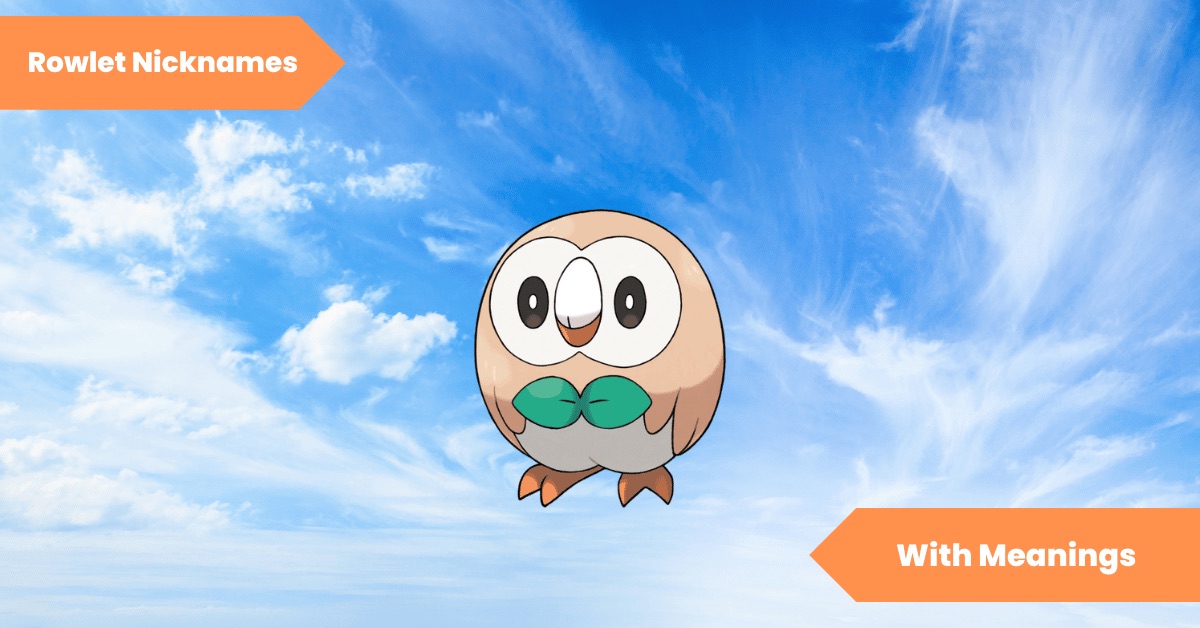 101 Rowlet Nicknames Refined Roster Lets Learn Slang