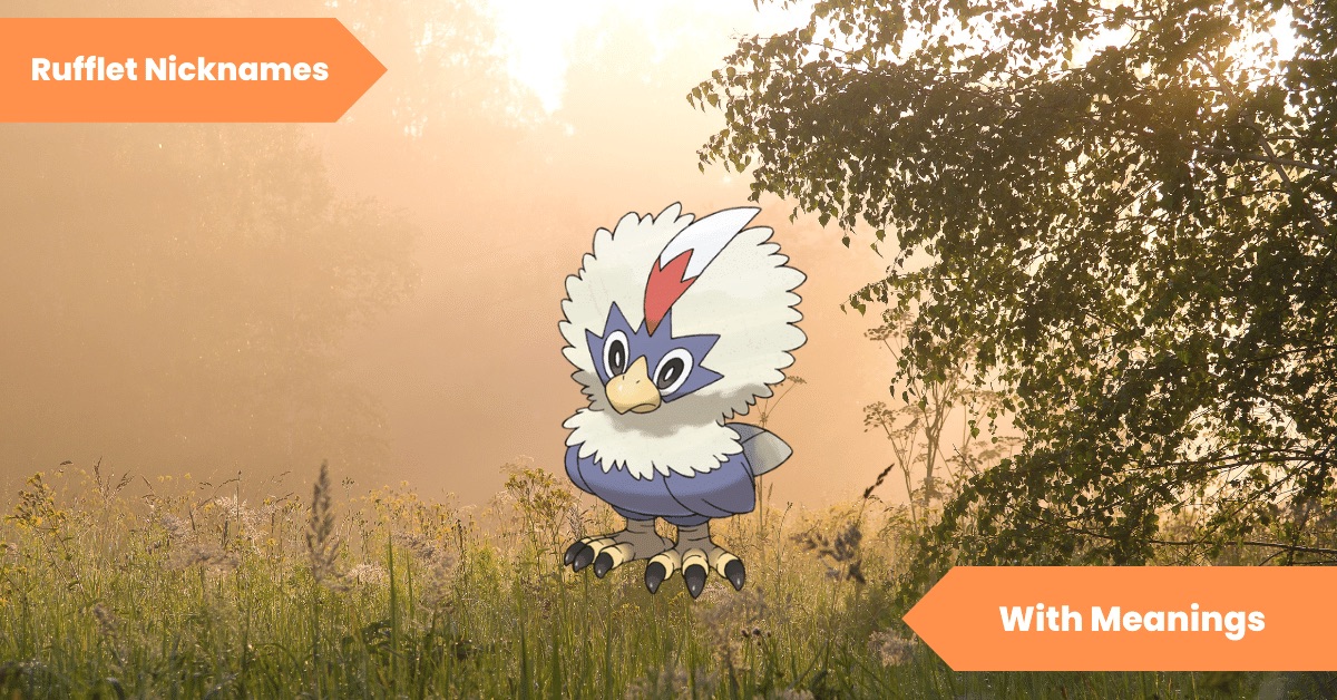 101 Rufflet Nicknames Unveiling the Secrets of Your Favorite Flying