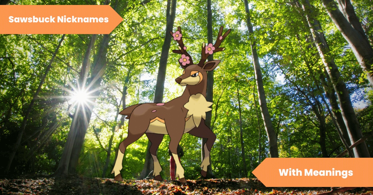 101 Sawsbuck Nicknames Deer In The Headlights Lets Learn Slang