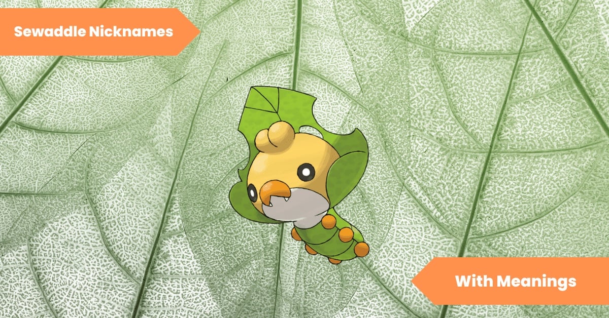 101 Sewaddle Nicknames Get Wrapped Up! Lets Learn Slang