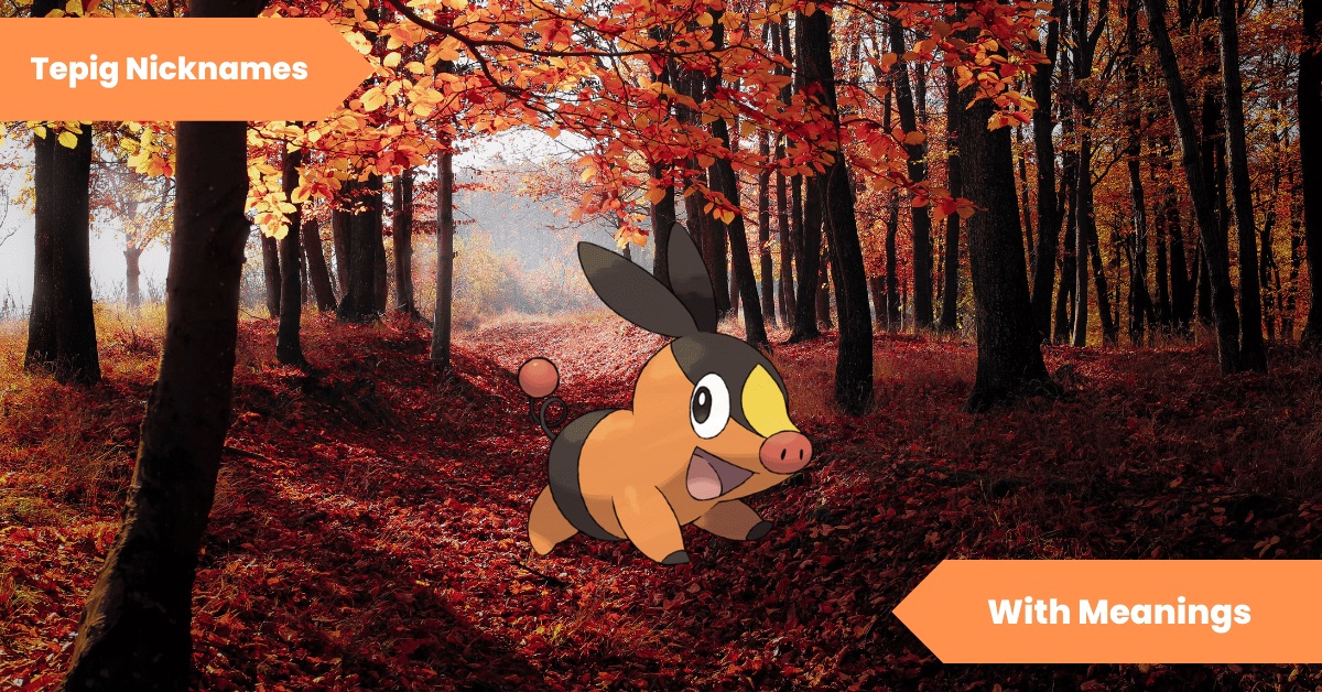 100 Tepig Nicknames Hilarious and Unique Names for Your Fiery Pokémon Friend! Lets Learn Slang