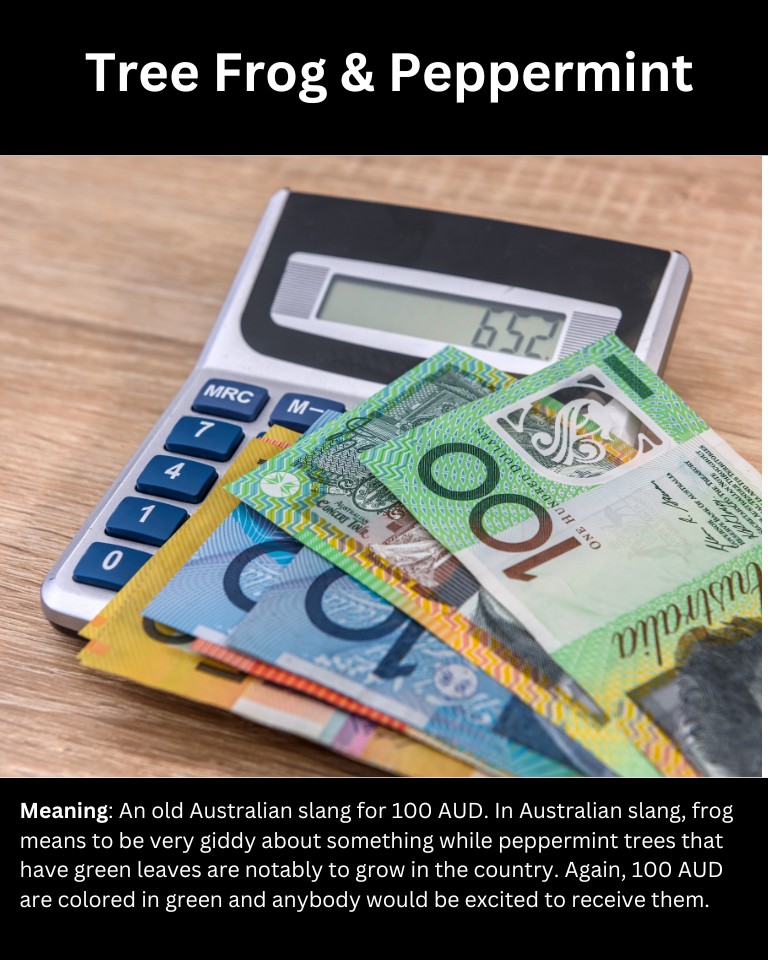 15+ Slang Words For 100 Dollars (And How To Use Them)