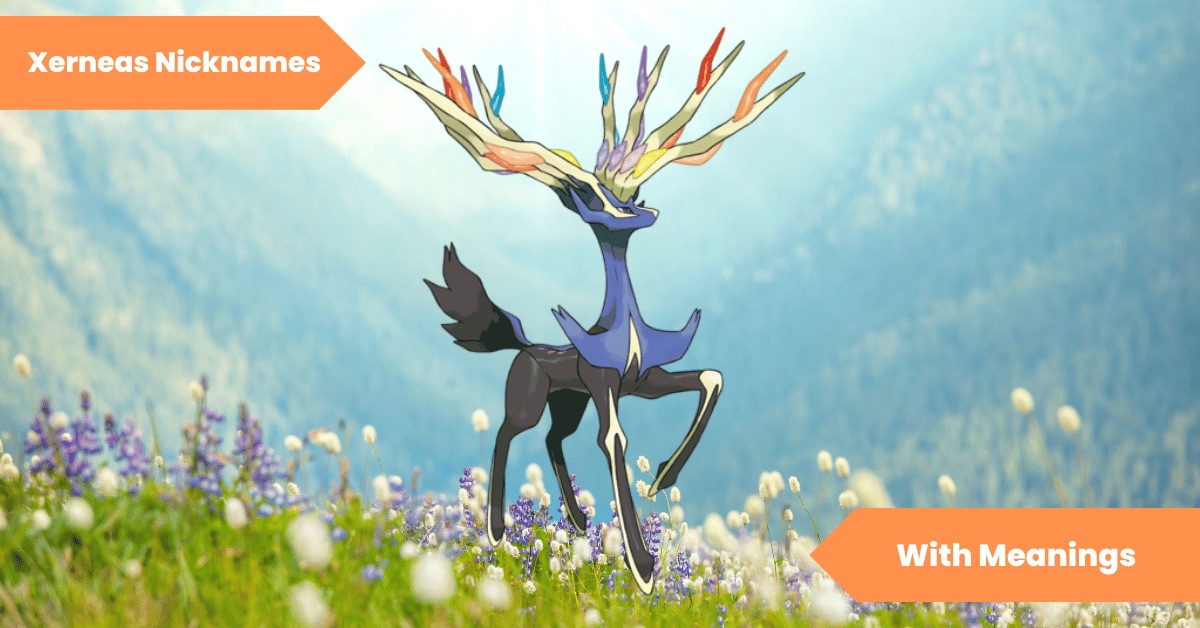 101 Xerneas Nicknames Diving into Deerly Delights Lets Learn Slang