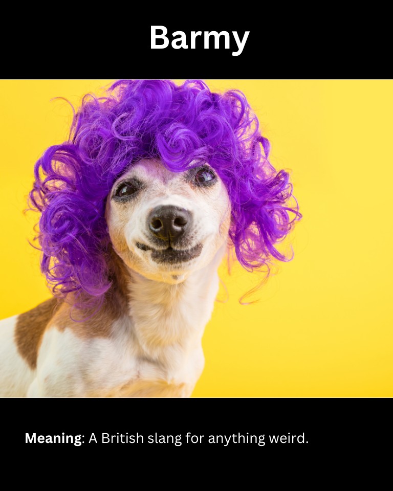 15+ Slang Words For Weird (And How To Use Them)