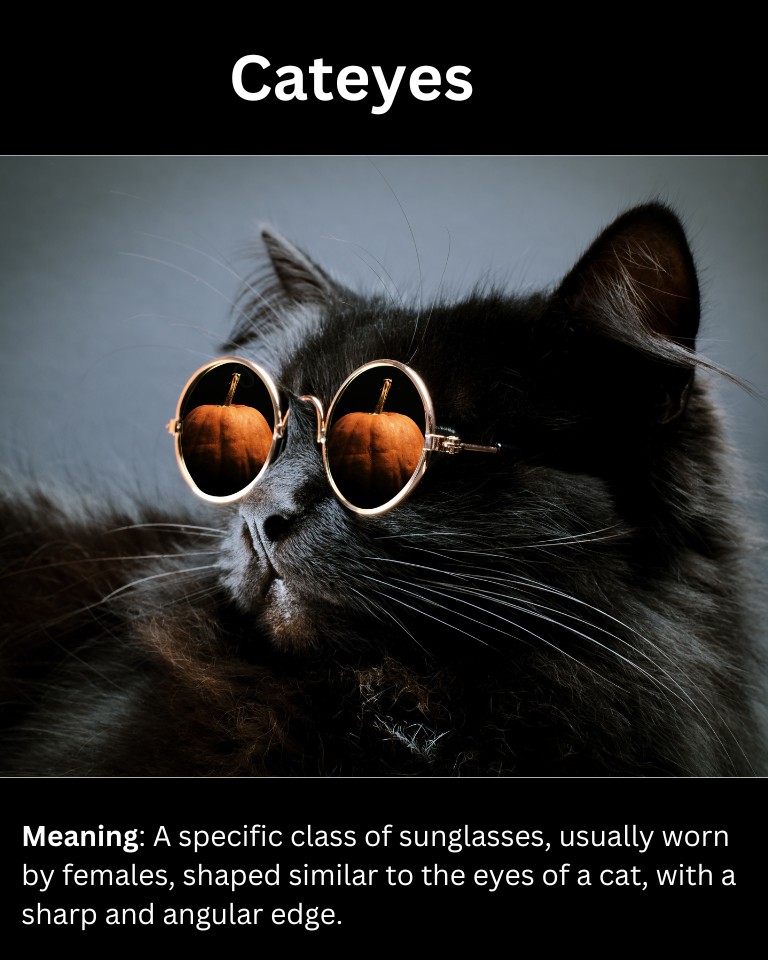 15+ Slang Words For Sunglasses (And How To Use Them)