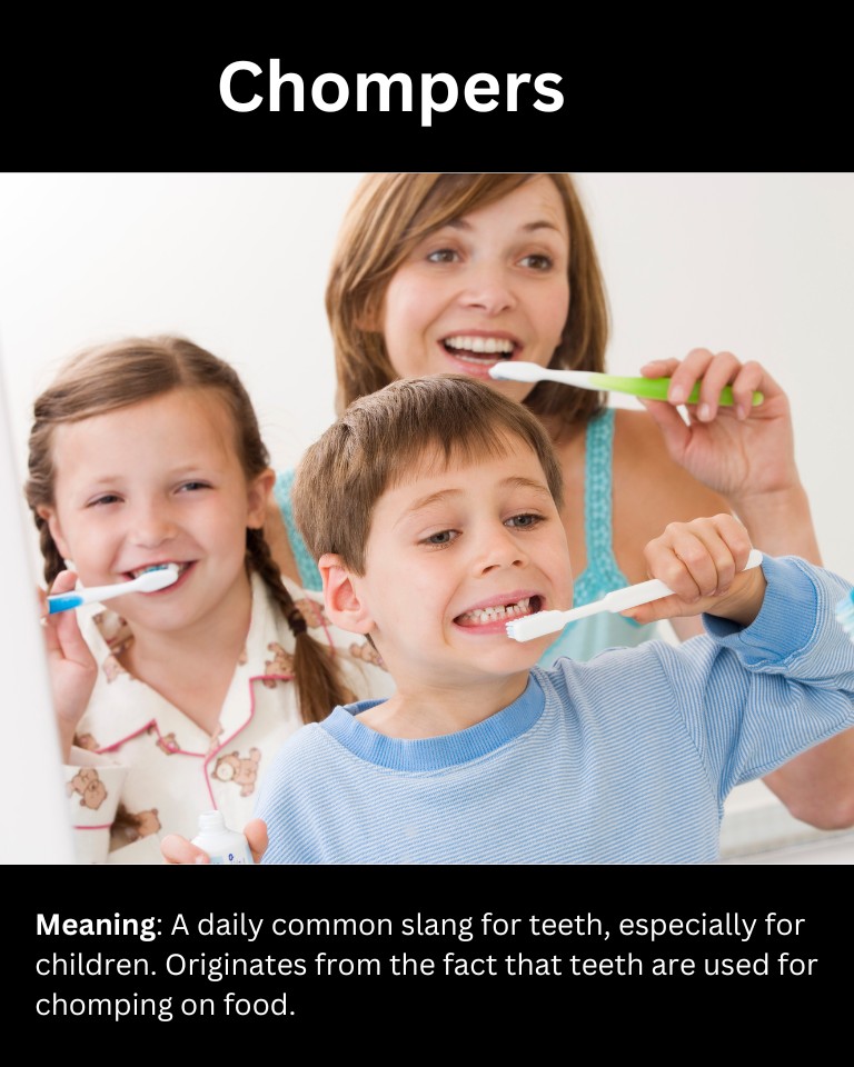 17+ Slang Words For Teeth (And How To Use Them)