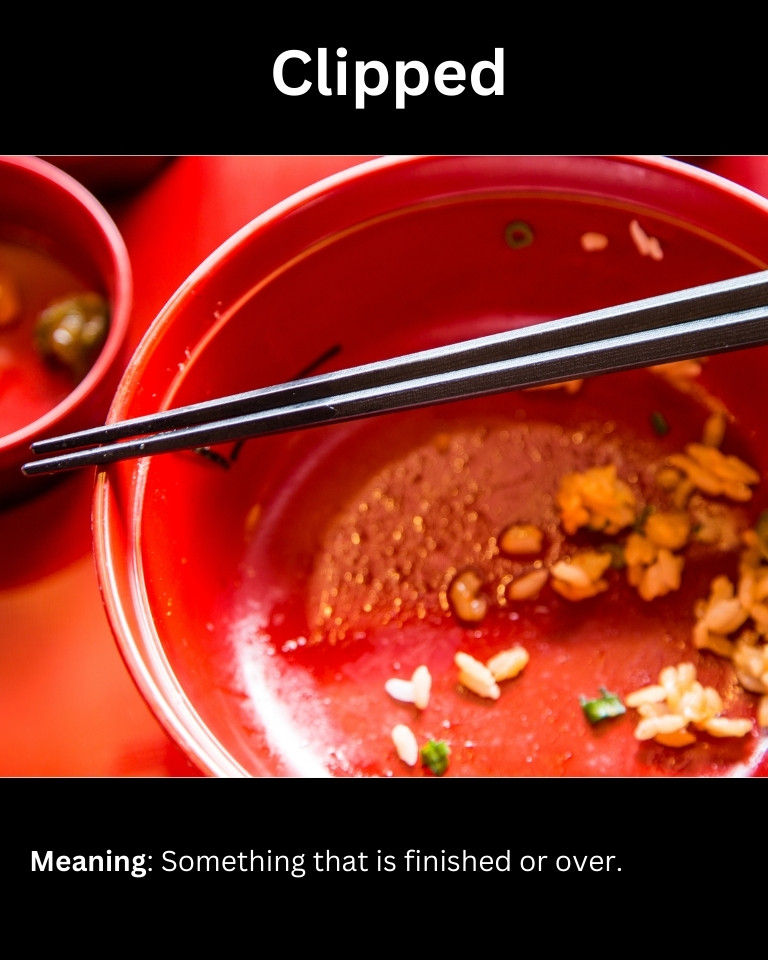 55+ Brooklyn Slang Words Complete List