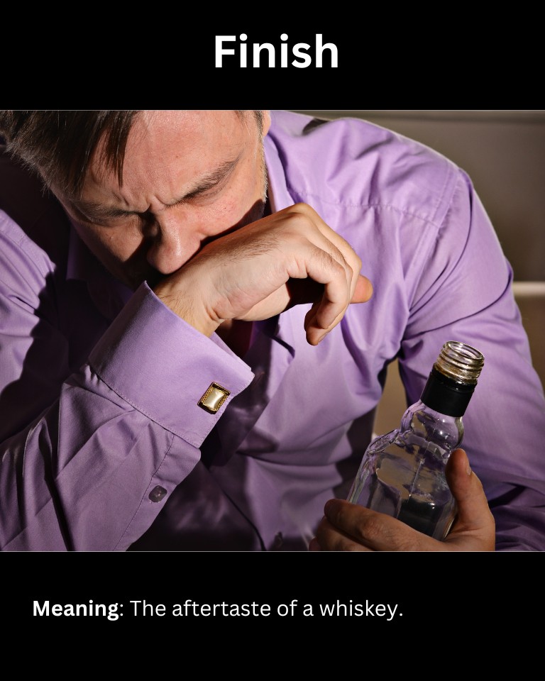 15+ Slang Words For Whiskey (And How To Use Them)