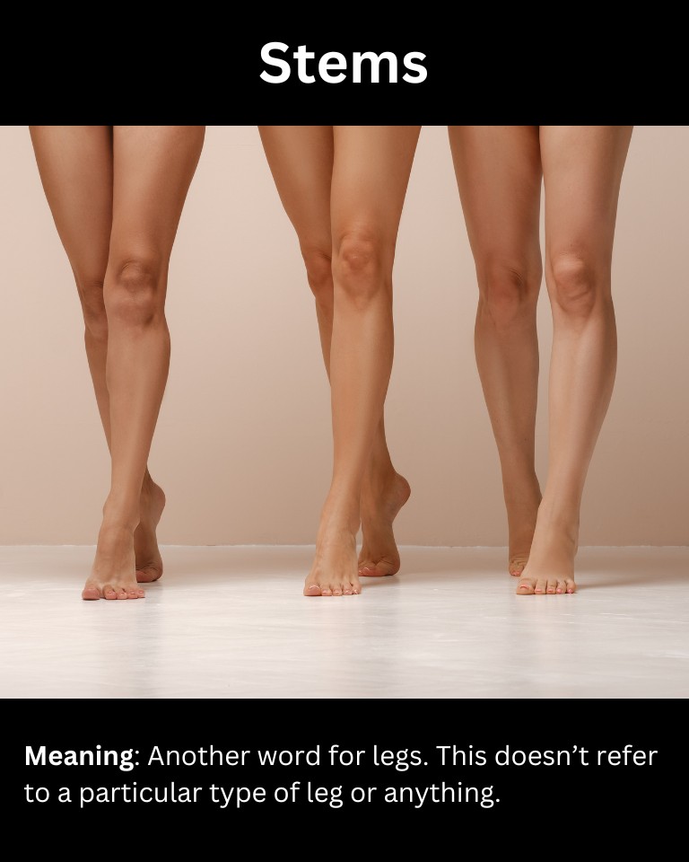 Slang Words for Legs (and How to Use Them)