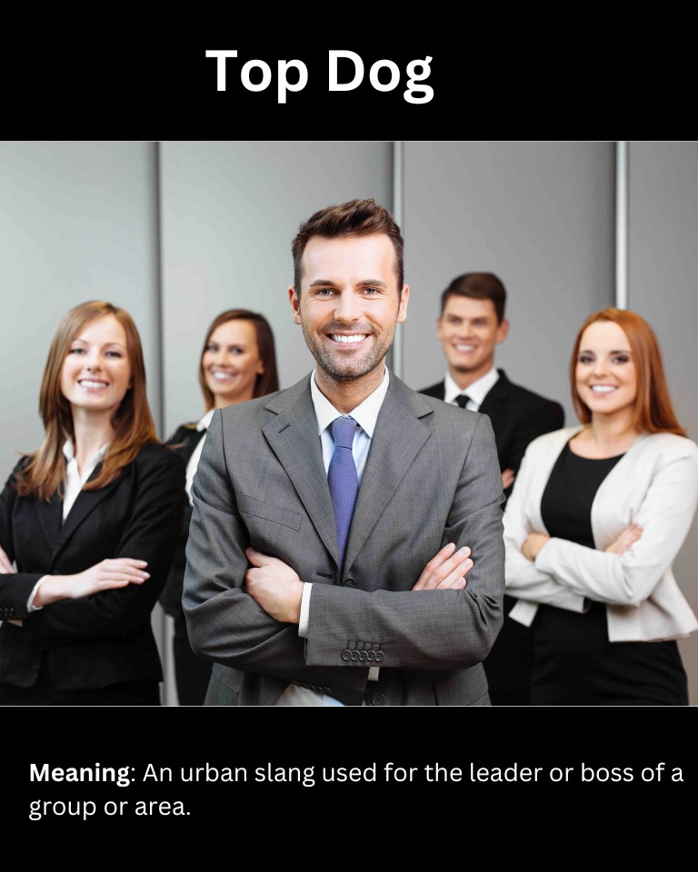 15+ Slang Words For Boss (And How To Use Them)