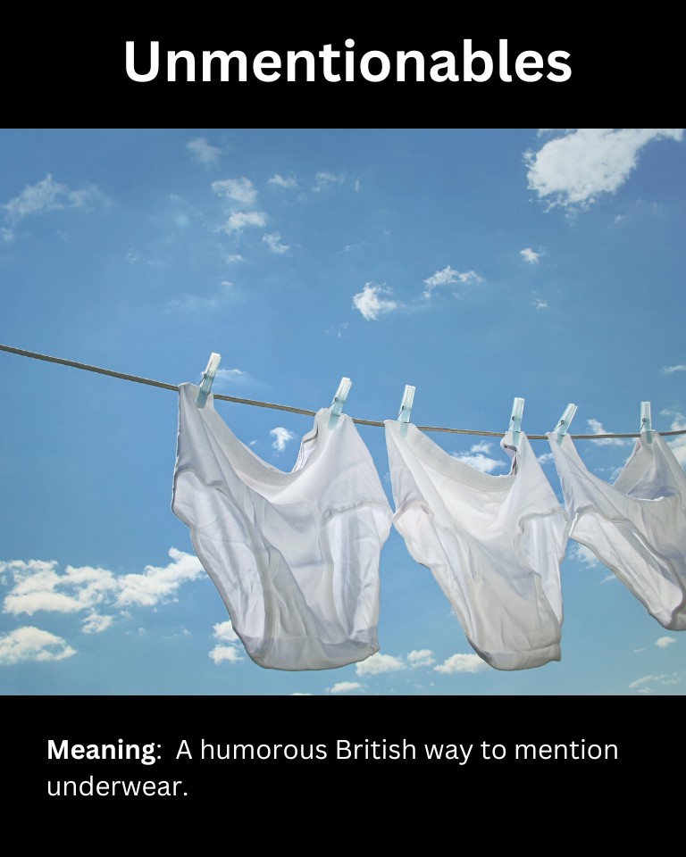 15+ Slang Words For Underwear (And How To Use Them)