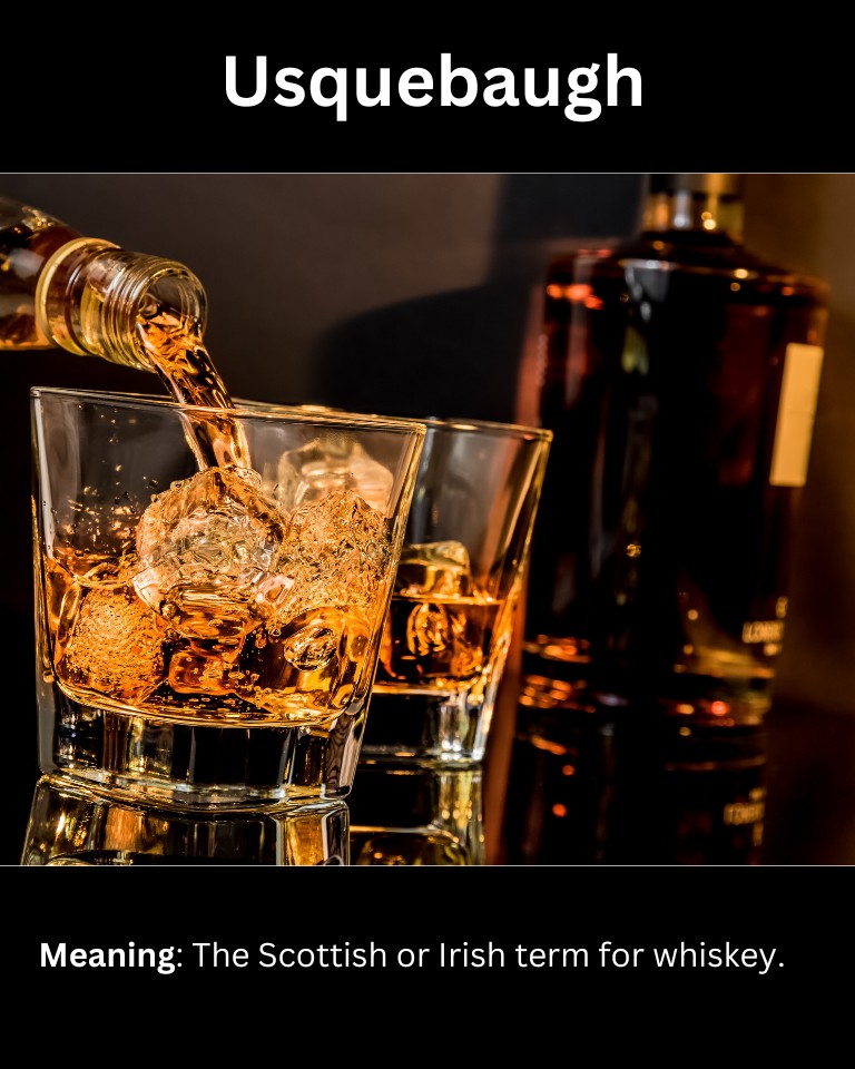 15+ Slang Words For Whiskey (And How To Use Them)