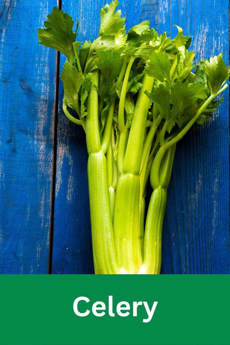 Things That Are Green A Guide to Naturally Green Objects and Phenomena