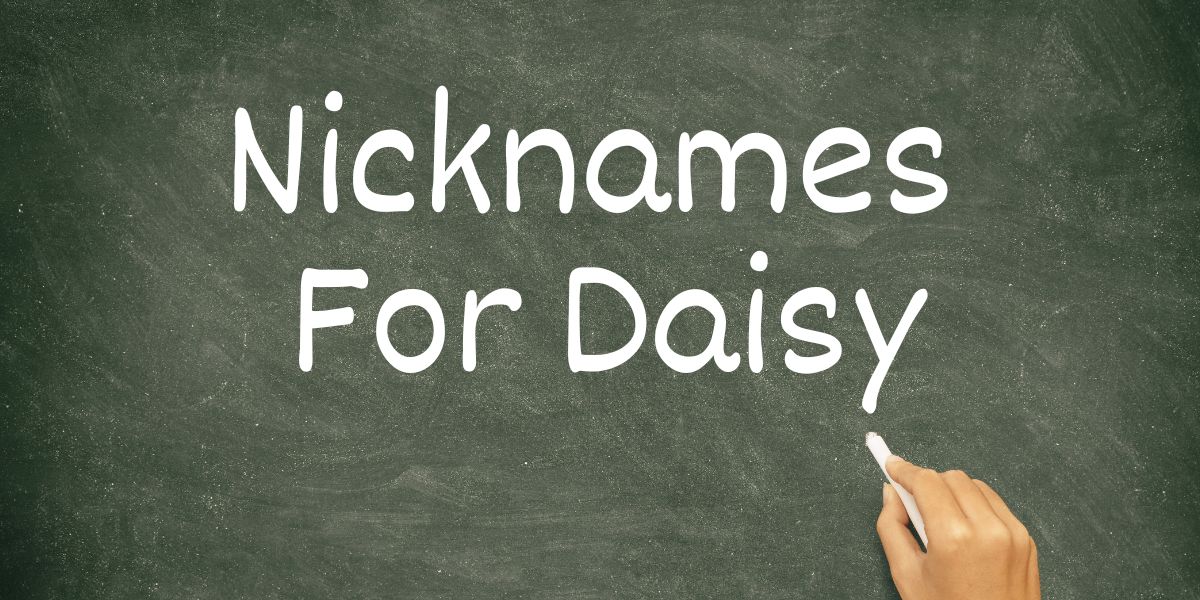 Top 100 Nicknames For Daisy Lets Learn Slang