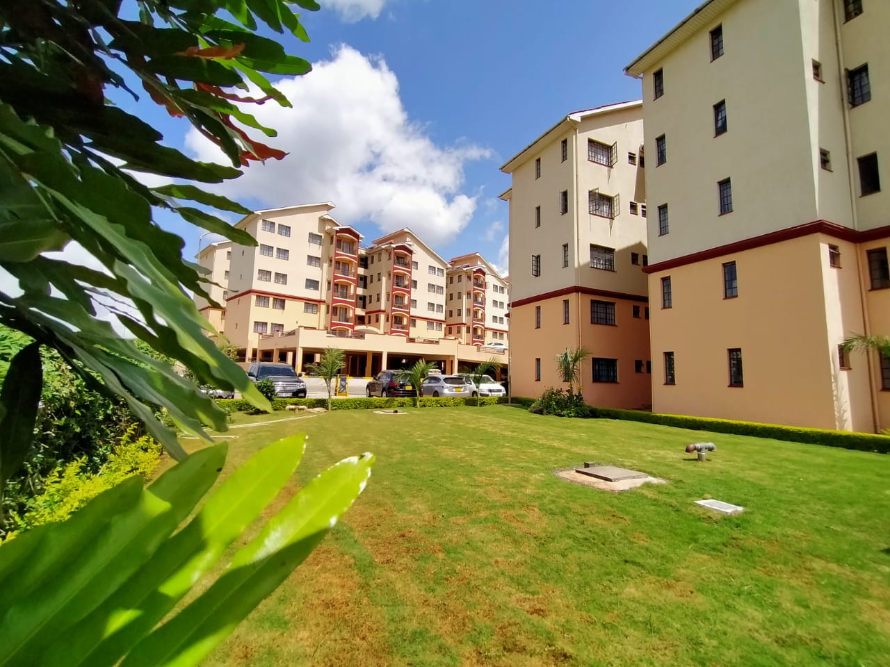 Executive 2 and 3 bedroom apartment for rent in Langata Lets Move