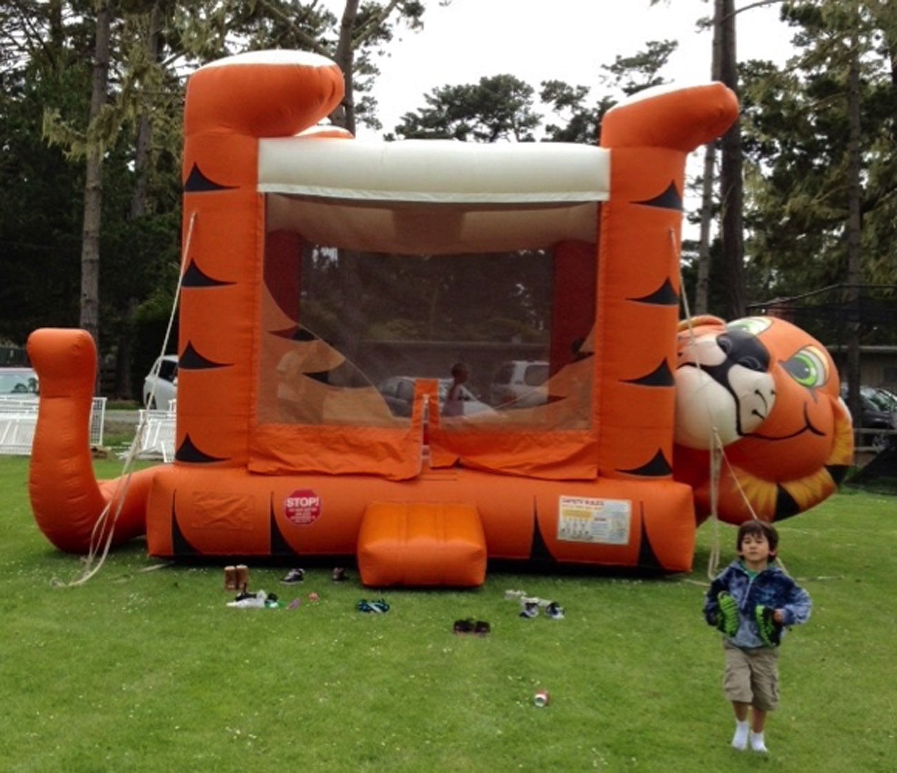 Tiger Bounce House Inflatables and Party Rentals Lets Party