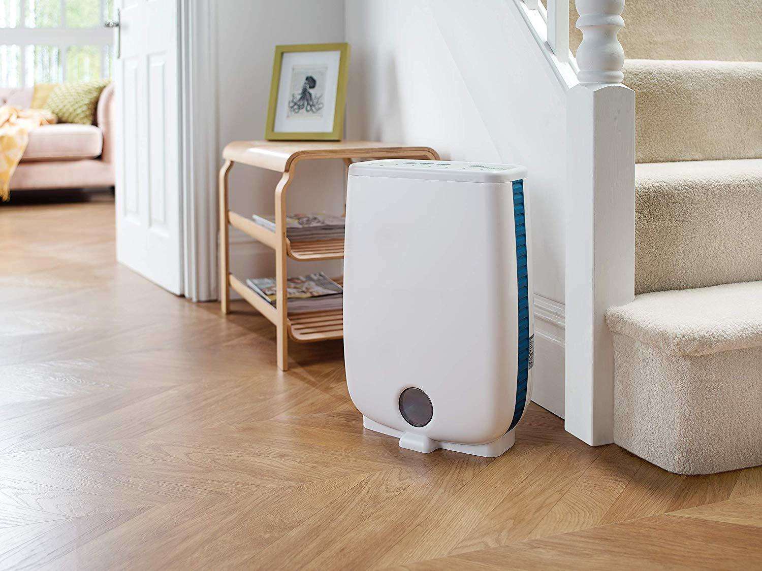Top 5 Best Dehumidifier for Apartments (2021 Reviews)