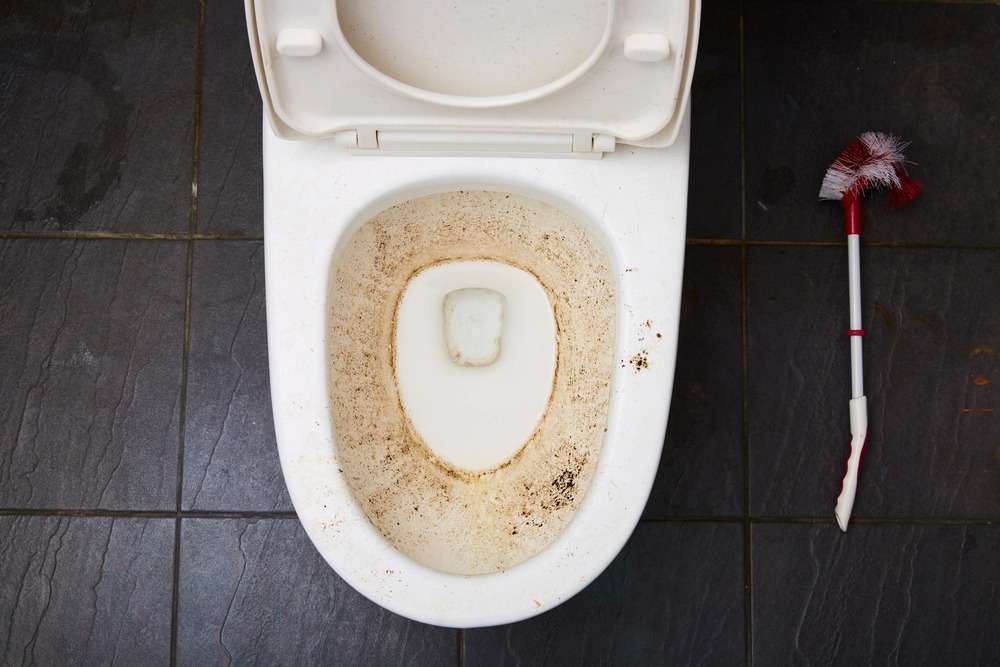 3 Effective Ways to Get Rid of Mold in Your Toilet Bowl Let