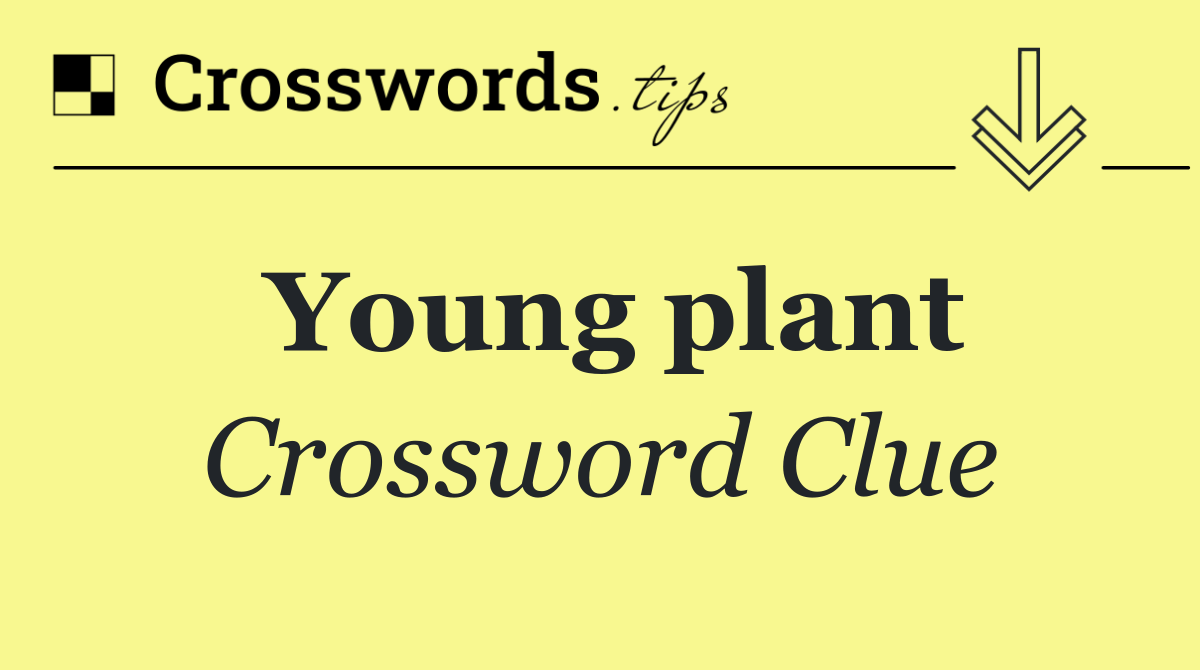 Young plant Crossword Clue Answer May 23 2025