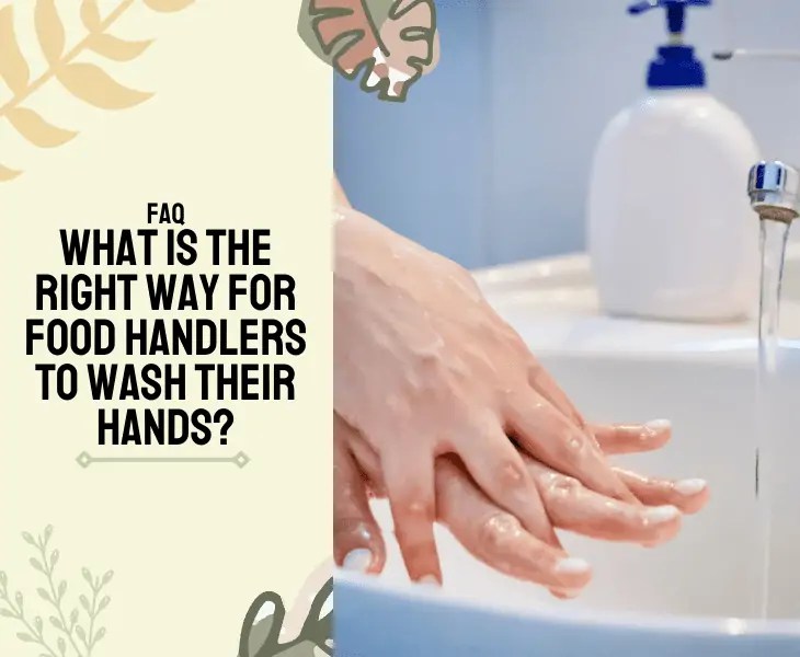 When Are Food Handlers Required To Wash Hands? (Facts!)
