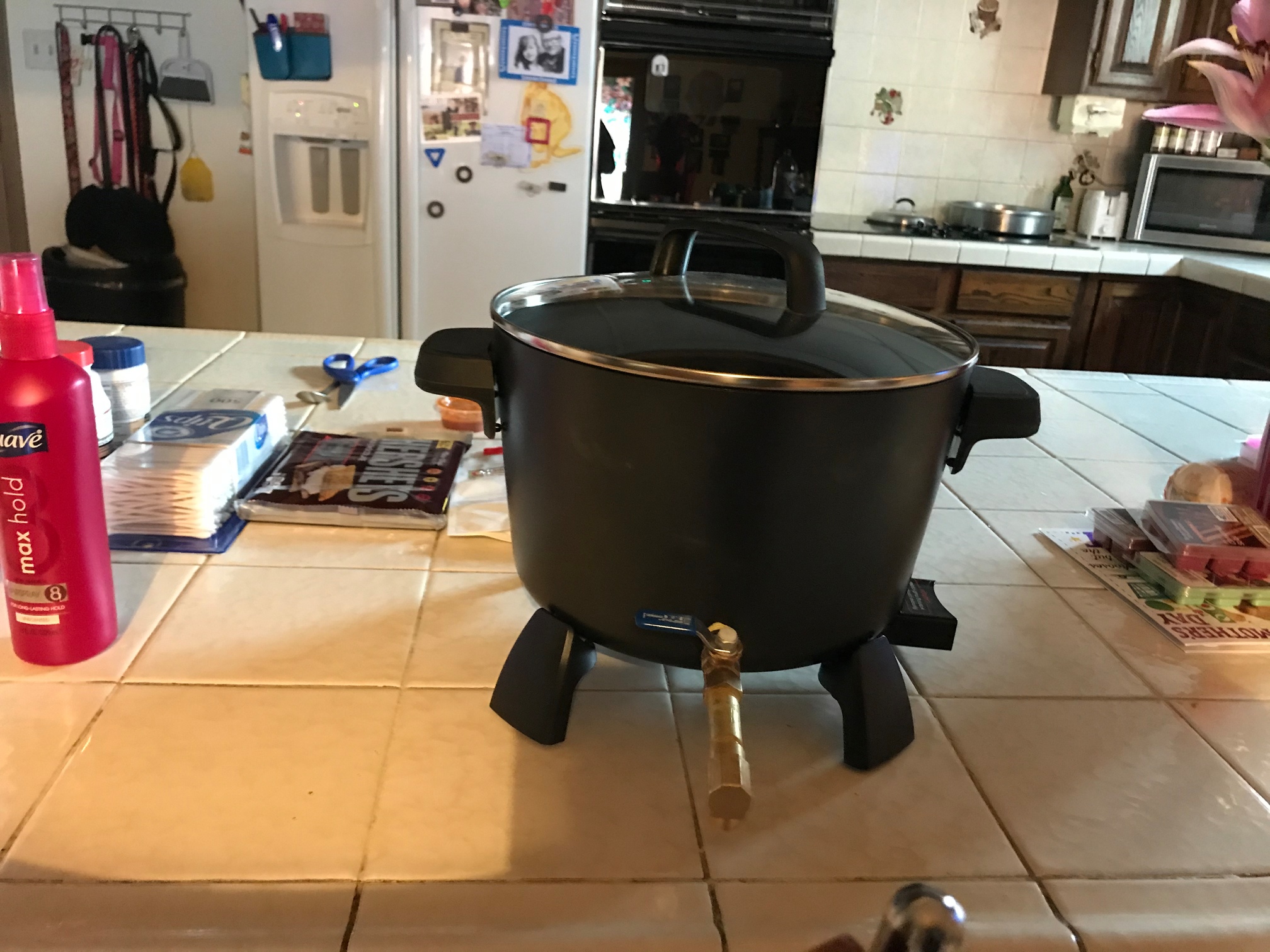 Wax Melting Pot Completed Projects the Lettuce Craft Forums