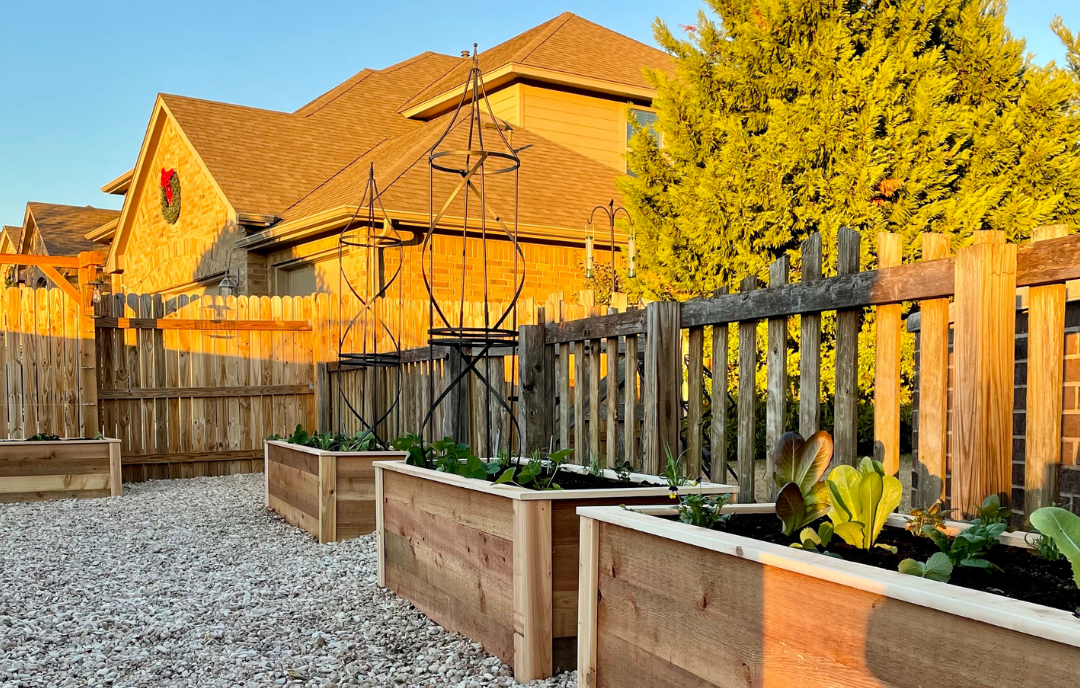 3 Beautiful Garden Trellis Ideas Lettuce Grow Something