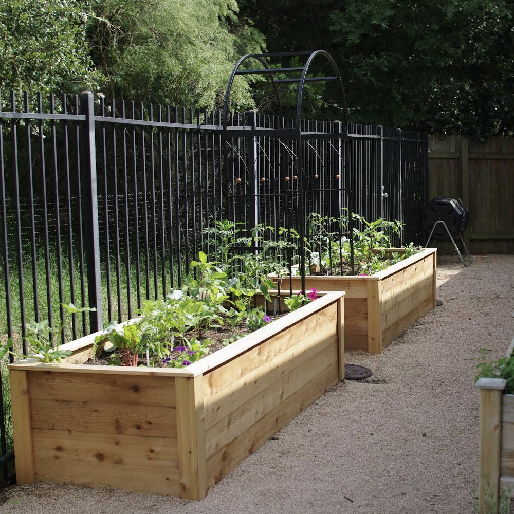 7 Tips for Summer Gardening in Texas Lettuce Grow Something