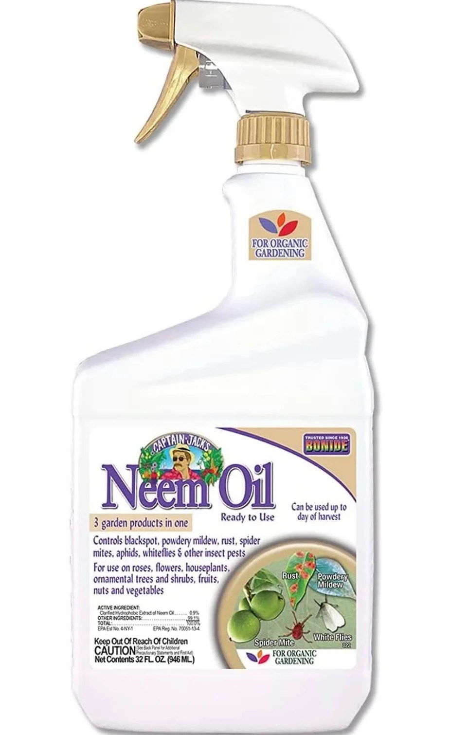 6 Tips for Organic Pest Control in Your Garden Lettuce Grow Something