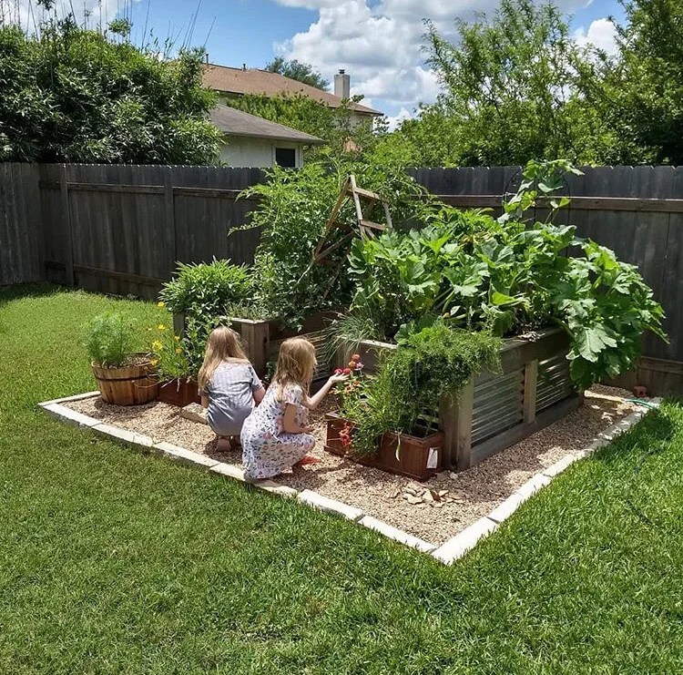 Why Raised Beds? Lettuce Grow Something