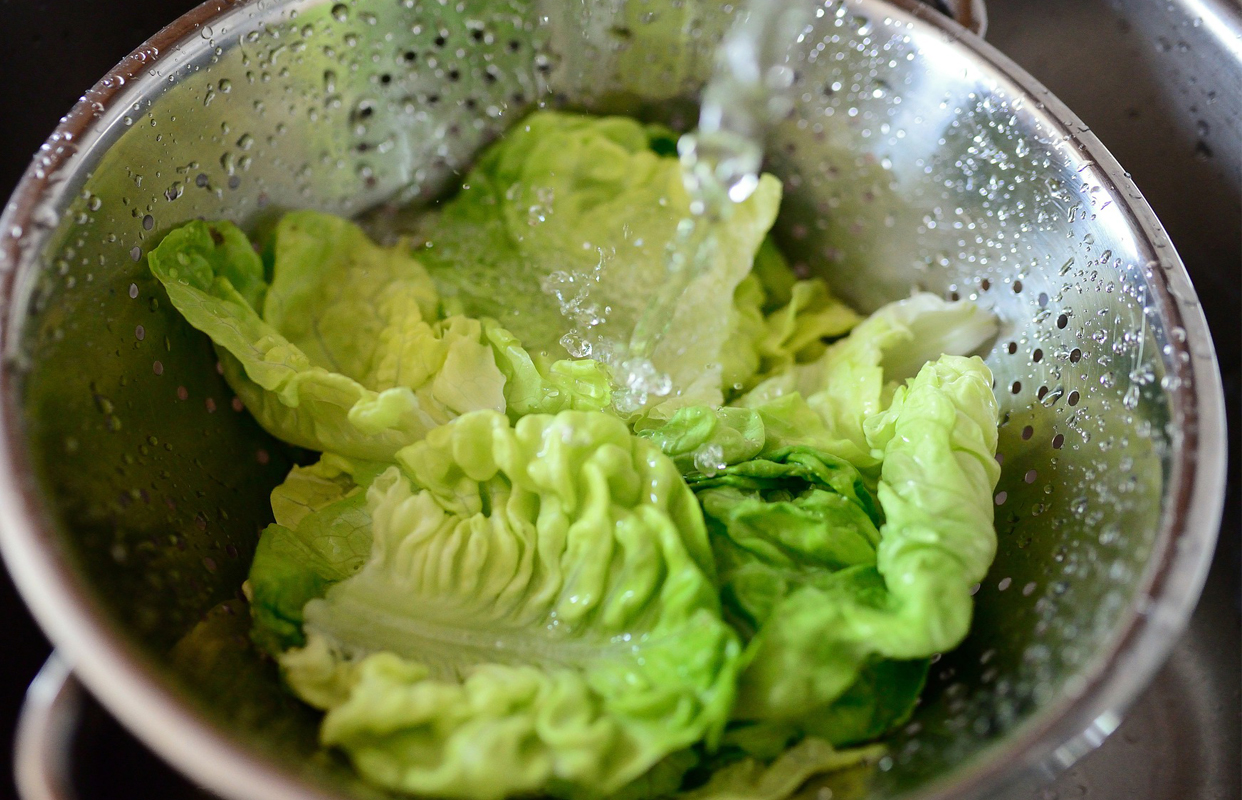 Lettuce Nutrition Facts Health Benefits of Lettuce Nutrients, Calories