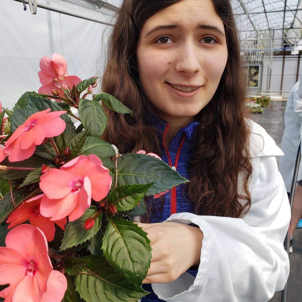 Volunteer Lettuce Work Nursery