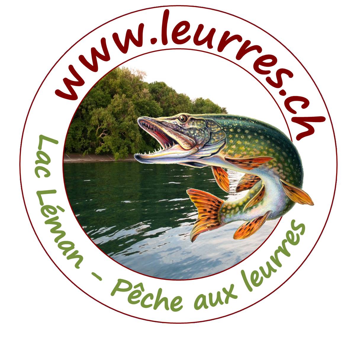 Les poissons du lac Léman