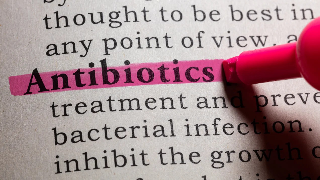 Do Antibiotics Make You Tired? Everything You Need To Know L'Evate You