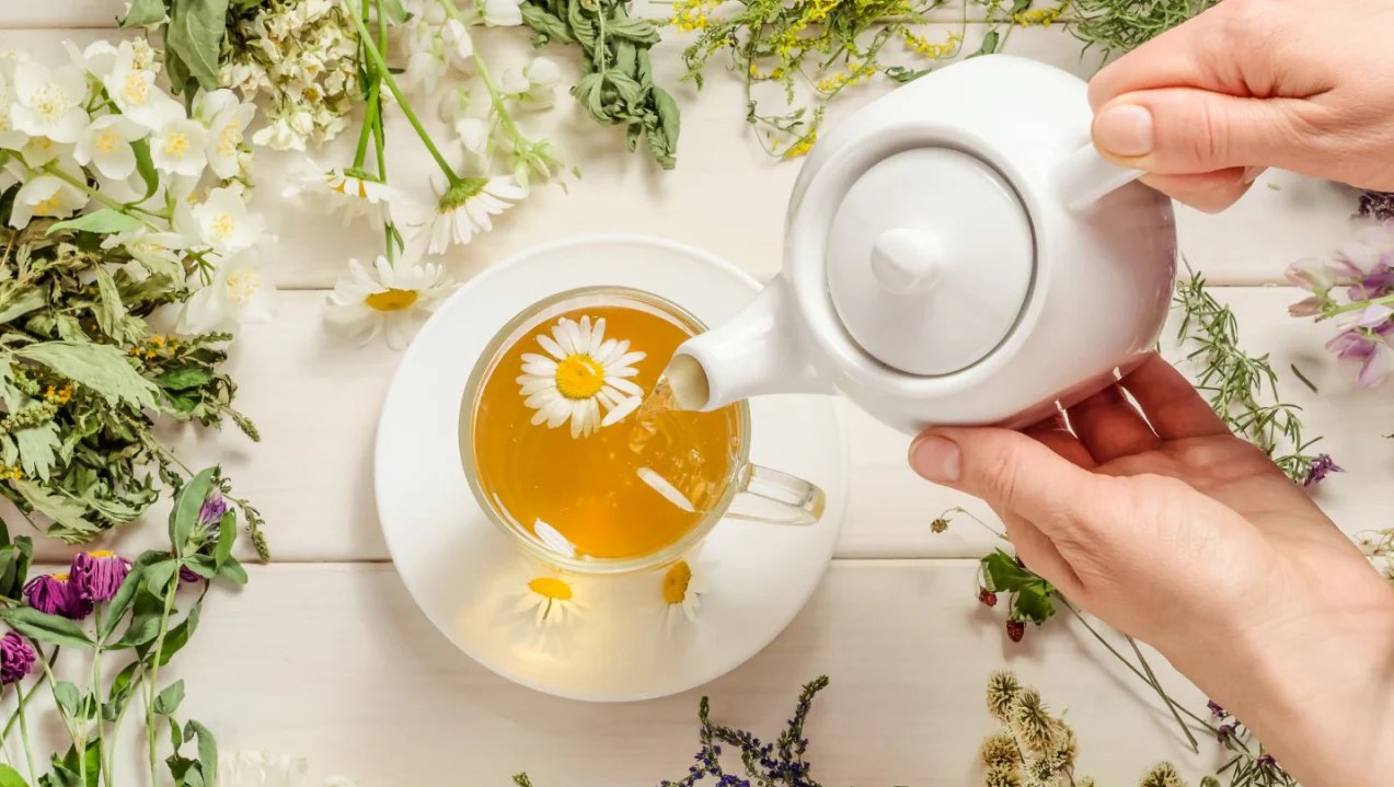 What To Drink After a Meal To Help Digestion L'Evate You