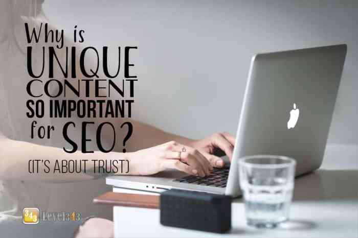 Why Is Creating Unique Content So Important For SEO? | Level343 Why Is Creating Unique Content So Important For SEO? | Level343