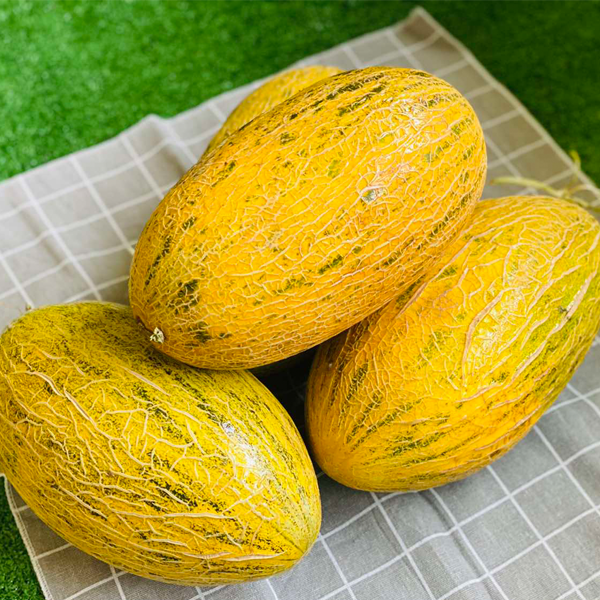 Hami Melon 1 Box Level Five