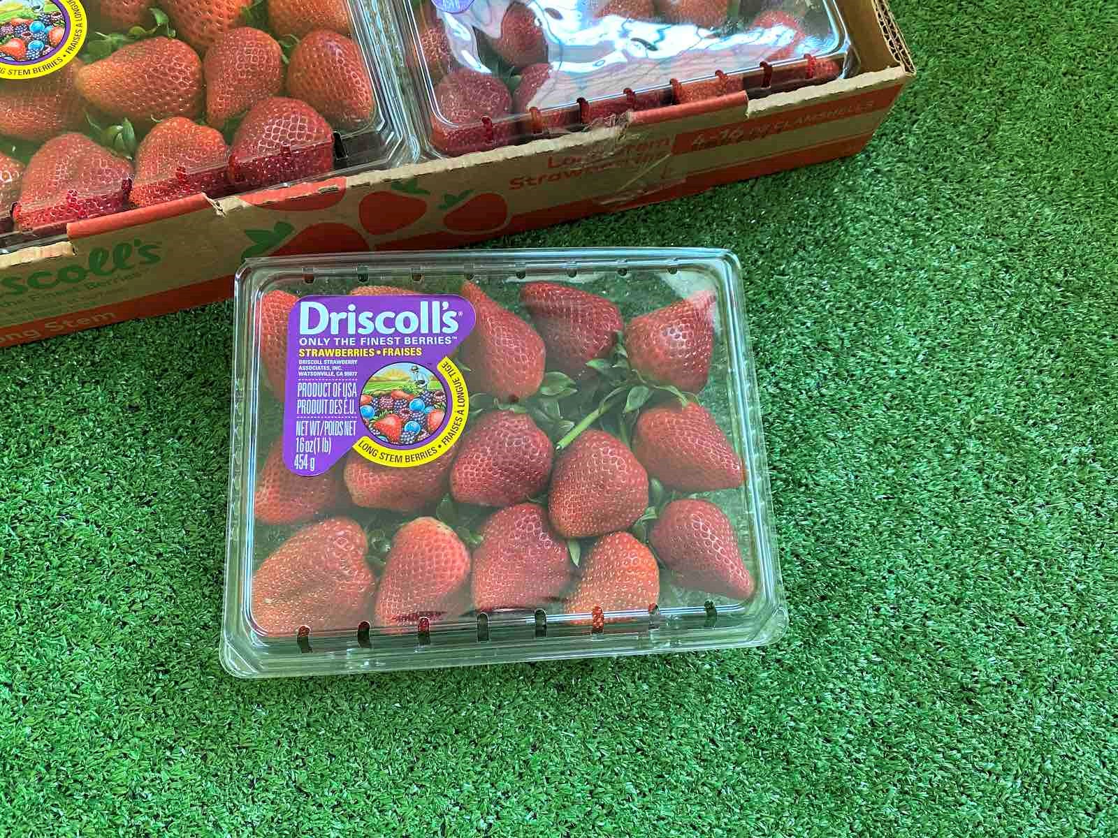 Driscoll's Strawberries Long Stem 454g Level Five