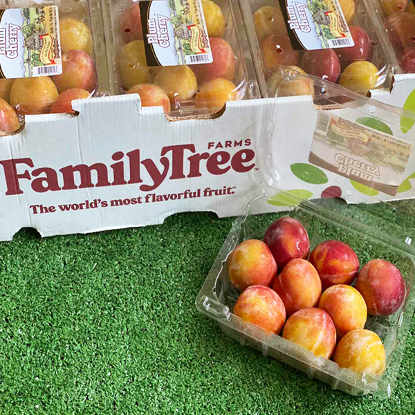 US Cherry Plums 454g Level Five