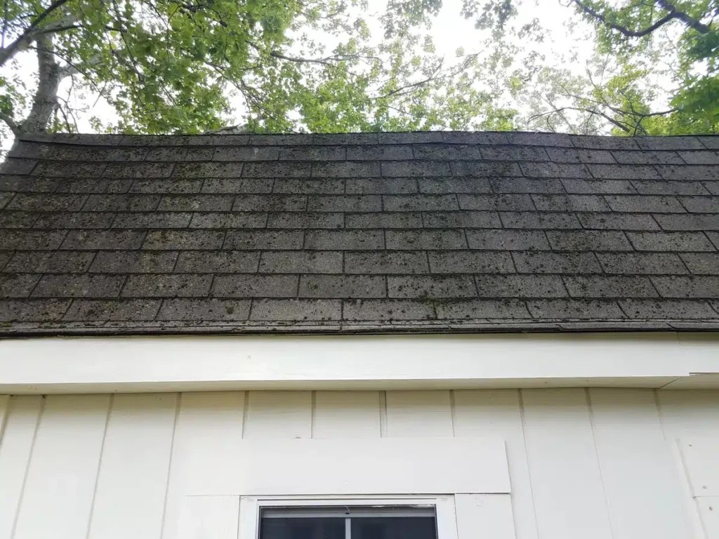 How Long Do Roof Shingles Last? (& When to Replace) Level Edge Construction
