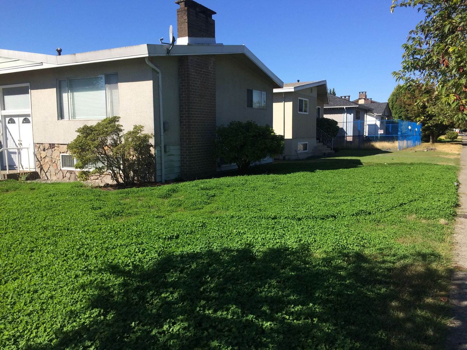 Elmhurst Drive Level Ground Landscape