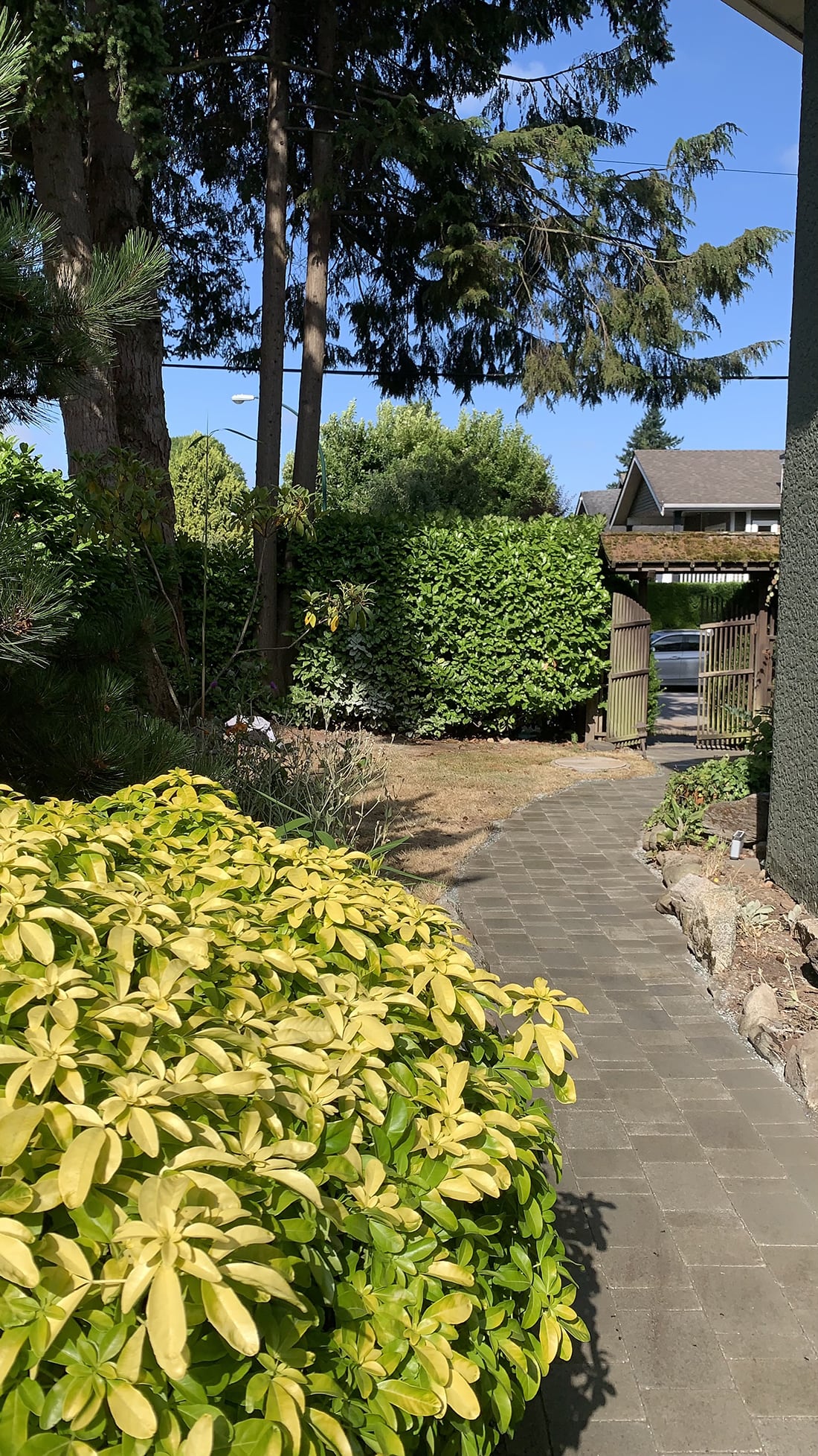 Bayswater Level Ground Landscape