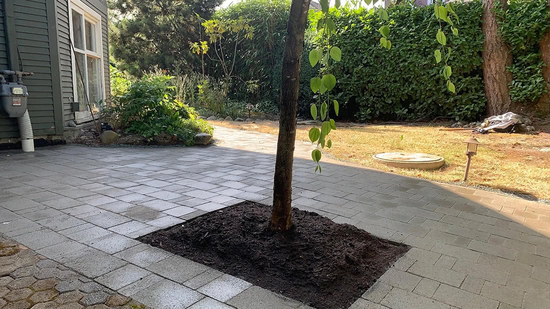 Bayswater Level Ground Landscape