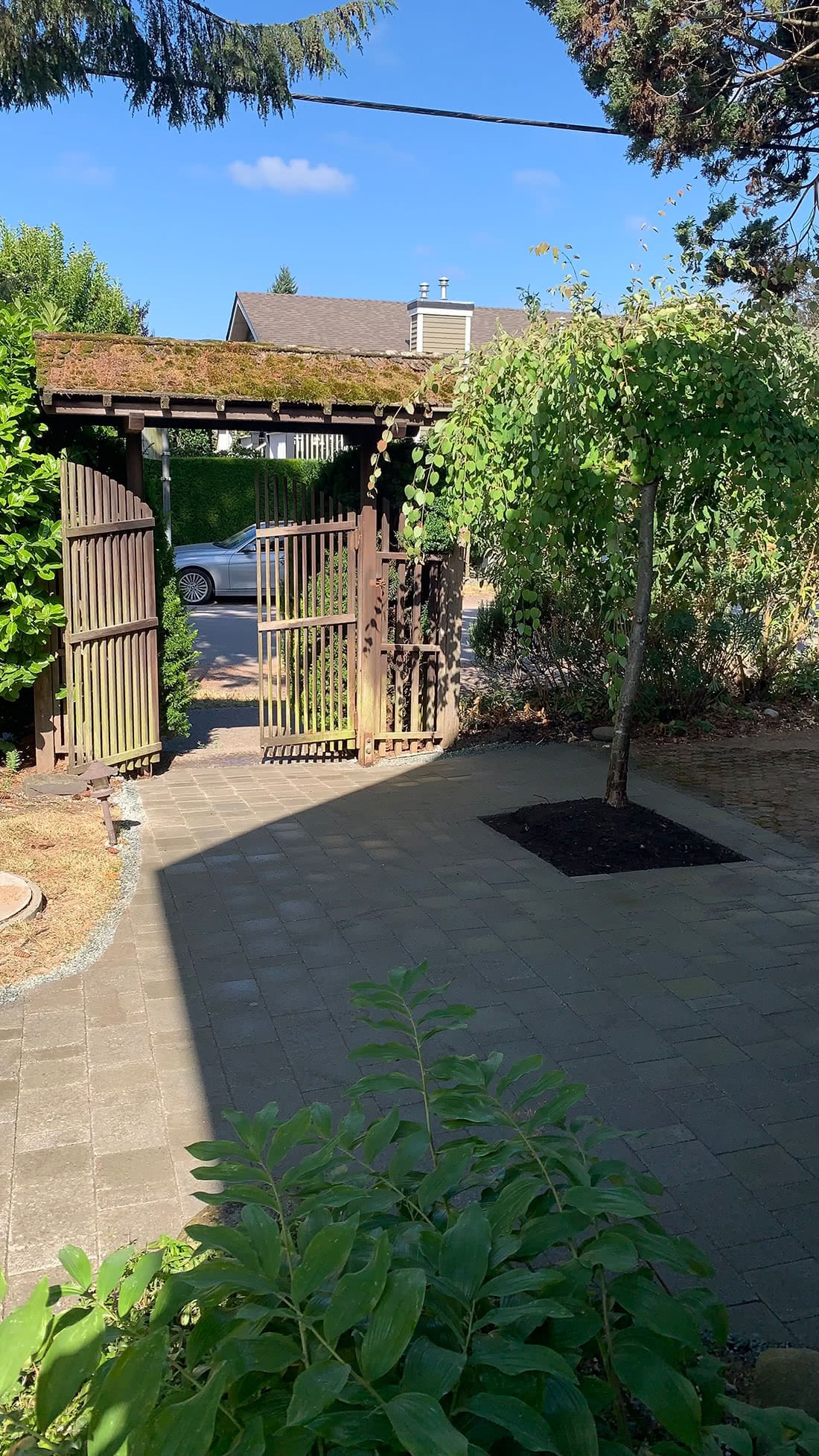 Bayswater Level Ground Landscape