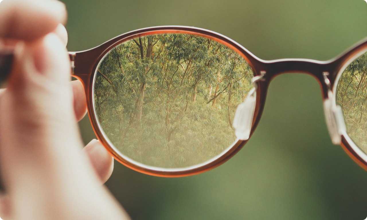 SAP Recipe Development (SAP RD) LeverX