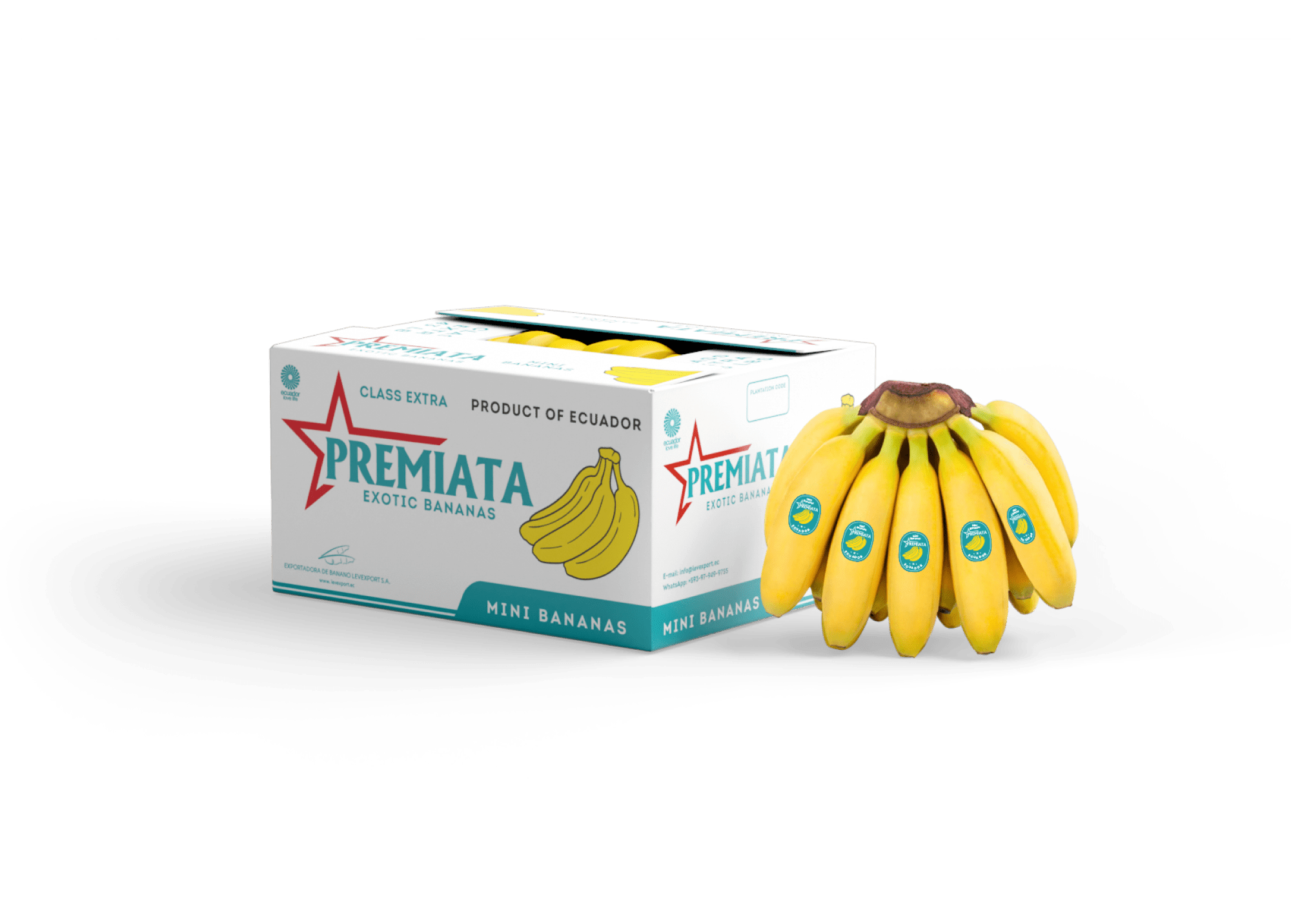 Nuestras marcas Levexport