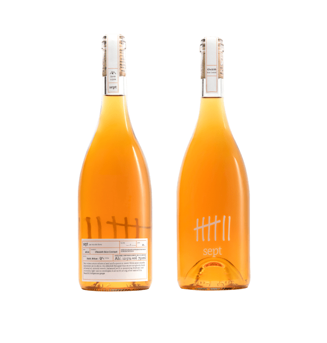 Skin Contact Obeideh Levinsept