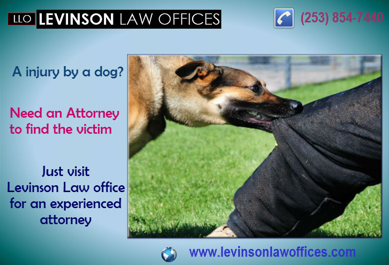 Car Accident Lawyer Renton WA William R. Levinson