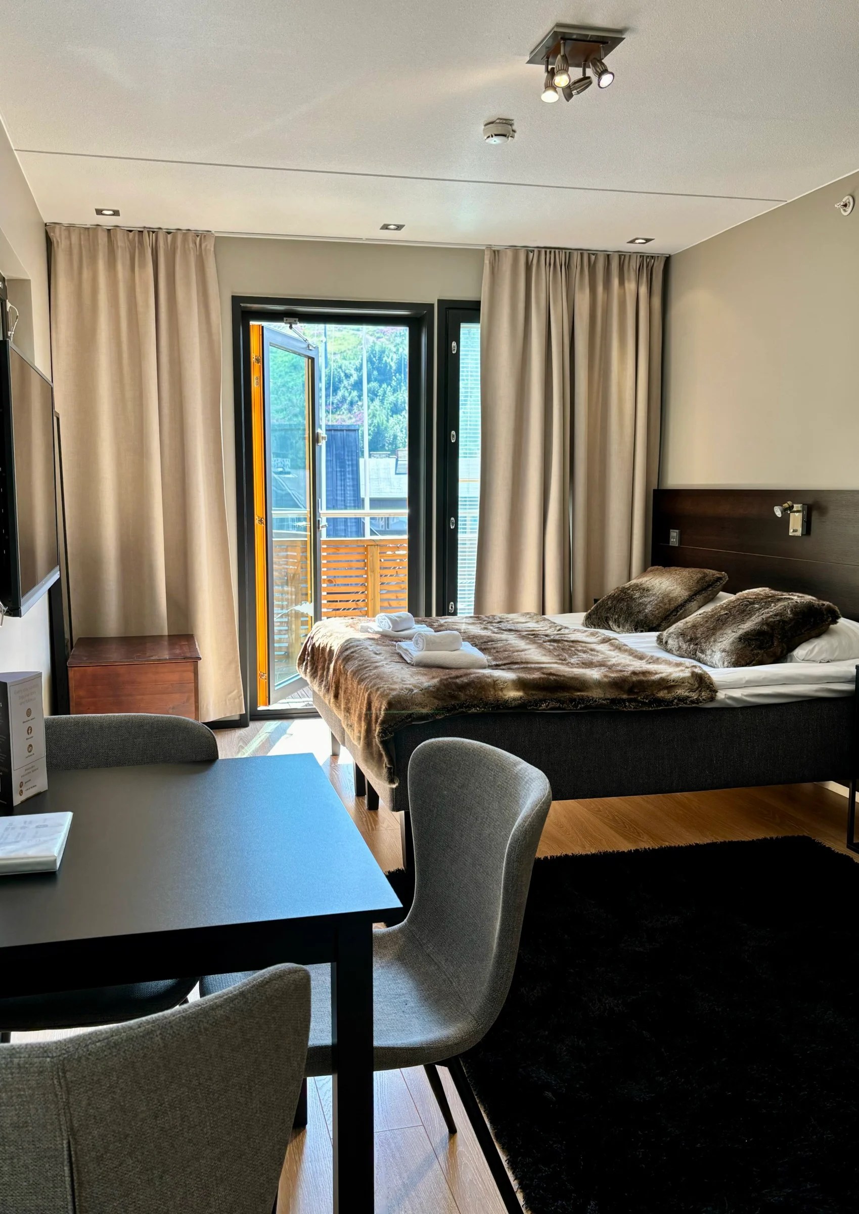 Studio C36 Mountain view Levi Suites