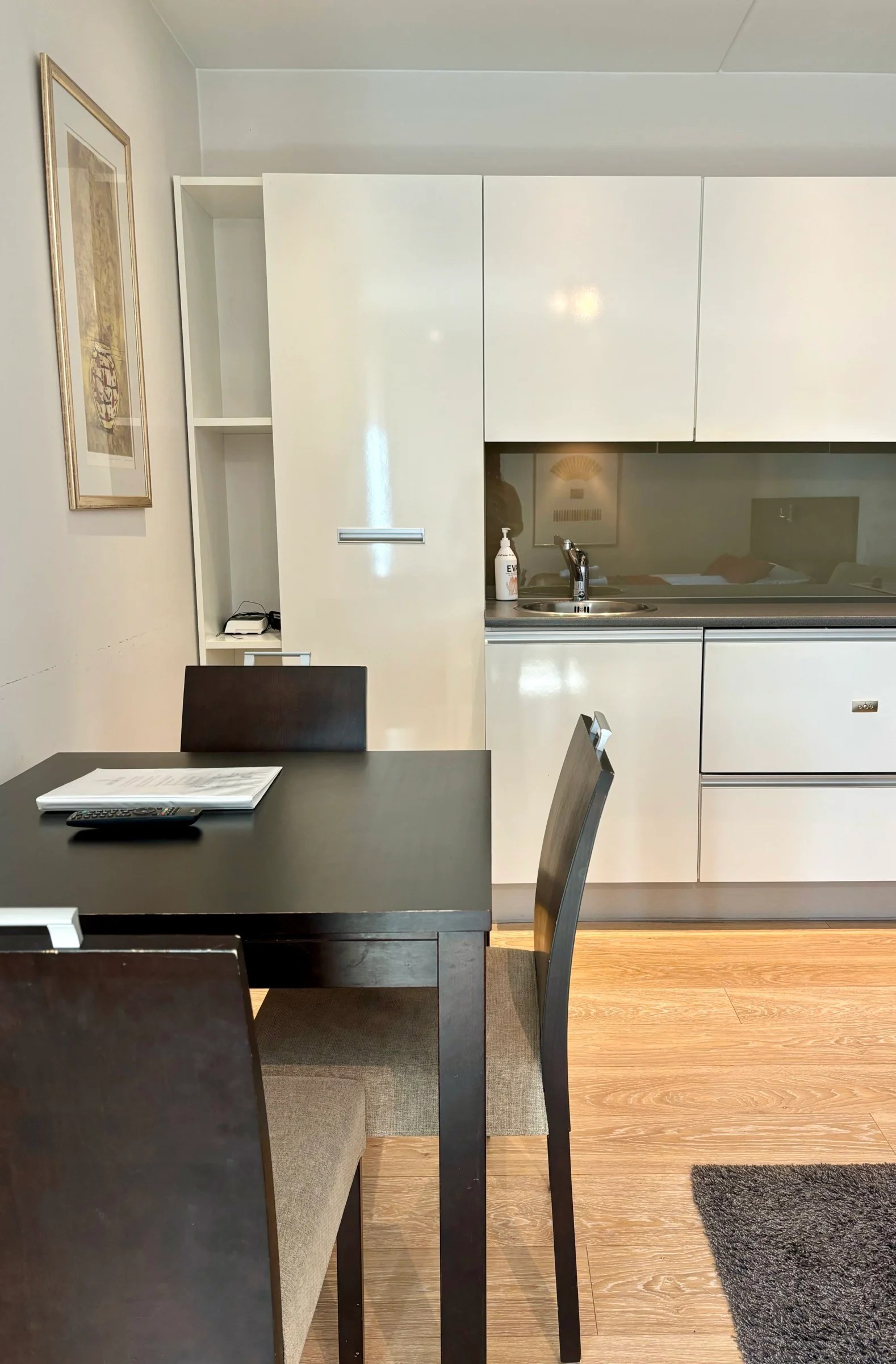 Studio A9 Mountain view Levi Suites