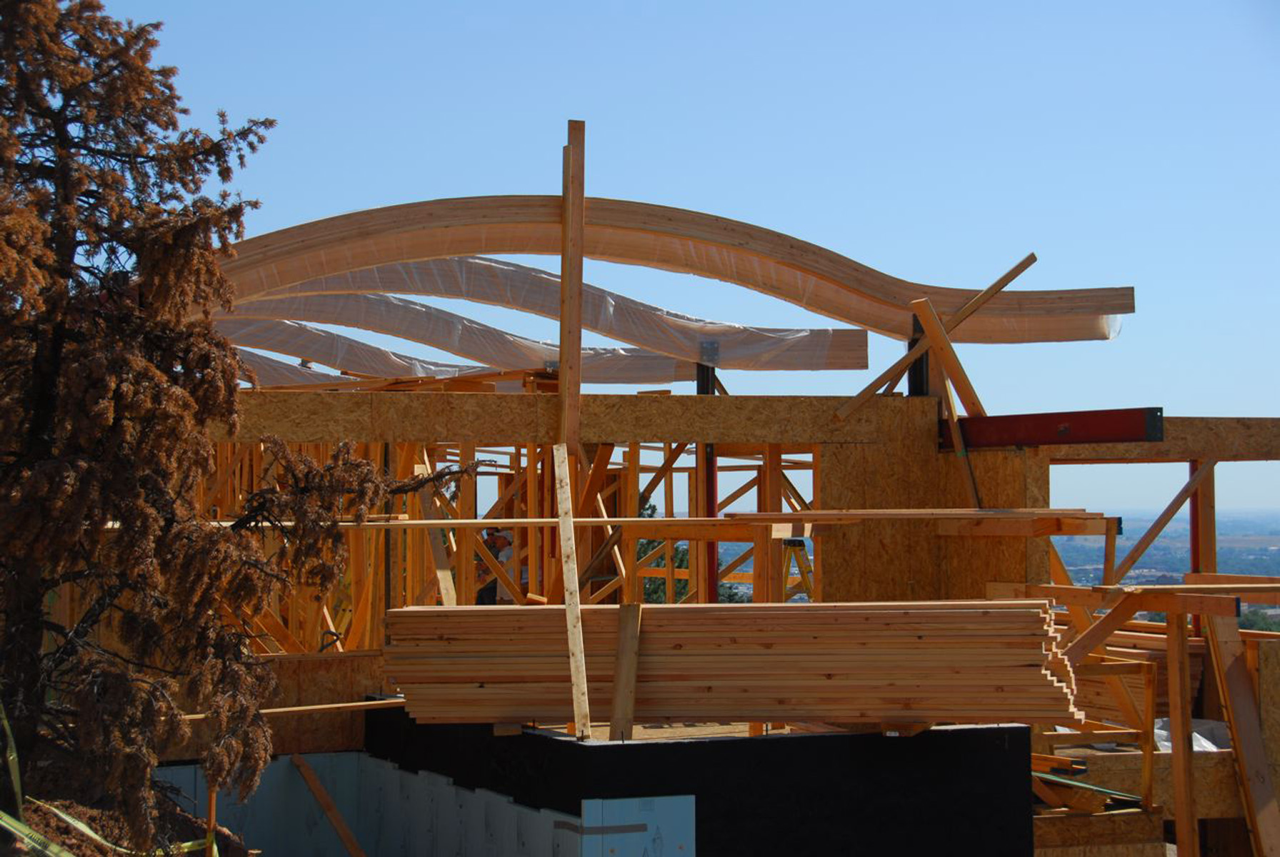 LEVITT ARCHITECTS » chinook house